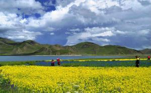 Yamzho Yumco Holy Lake